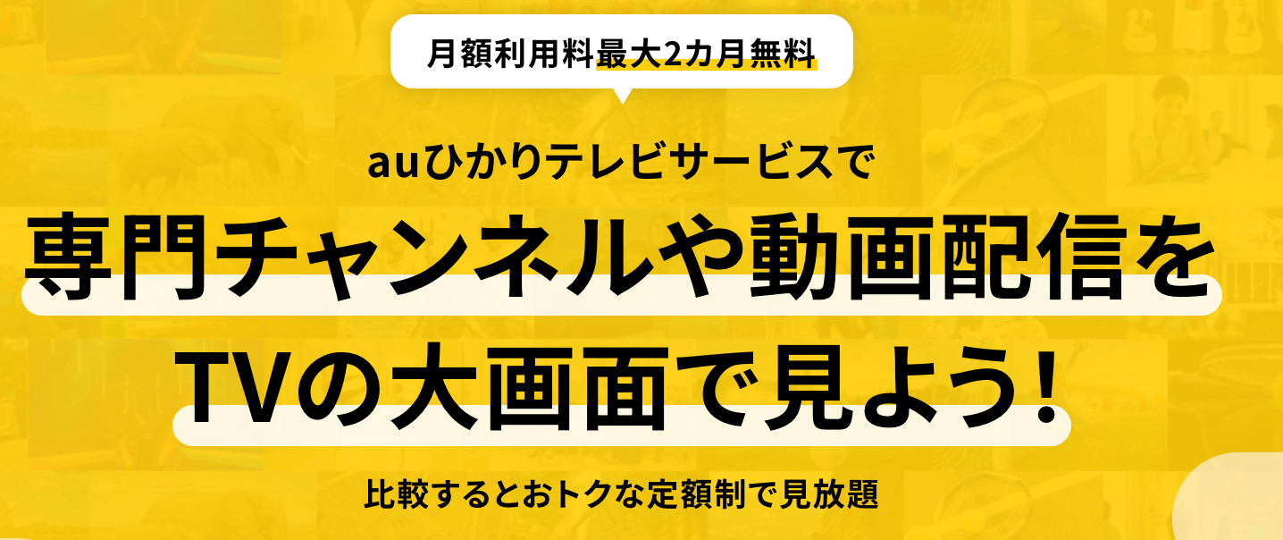 auひかりテレビの公式サイト